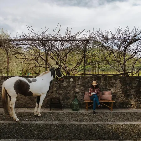 L'angelica Corte Palazzina, Country Retreat