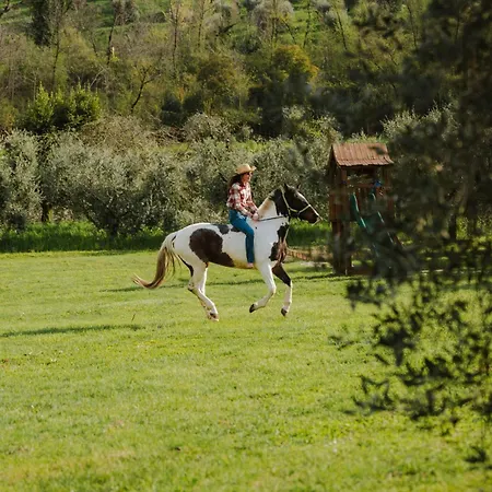 L'angelica Corte Palazzina, Country Retreat *