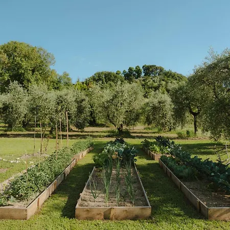 아파트호텔 L'angelica Corte Palazzina, Country Retreat 살로